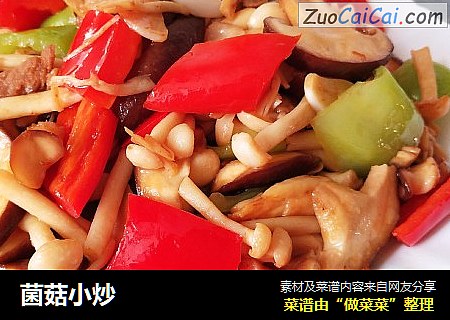 菌菇小炒