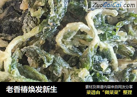 老香椿焕发新生