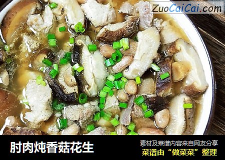肘肉炖香菇花生