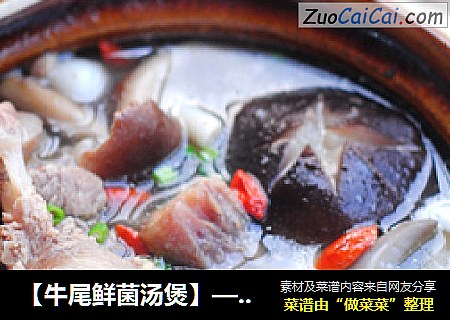 【牛尾鲜菌汤煲】——补血益肾 强筋壮骨