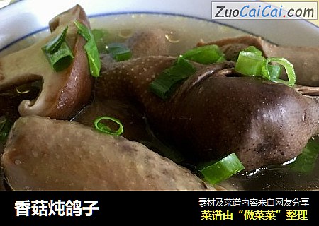 香菇炖鸽子