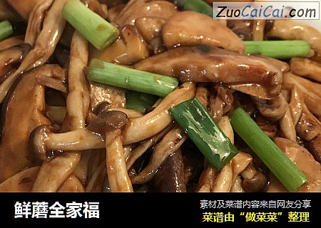 鲜蘑全家福