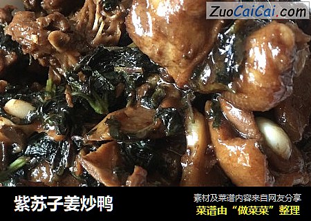 紫苏子姜炒鸭