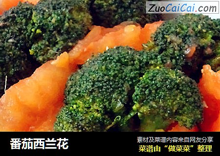 番茄西兰花