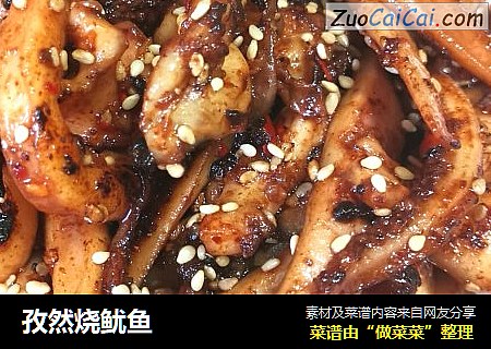孜然烧鱿鱼