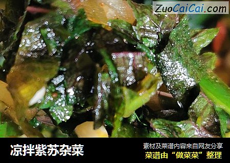 凉拌紫苏杂菜