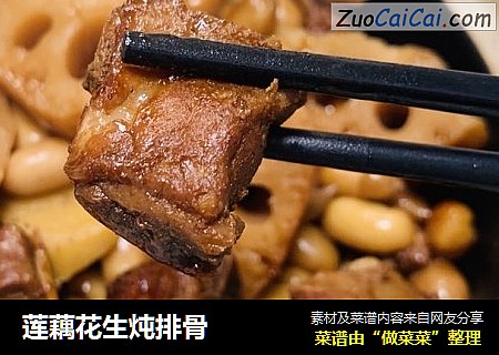 莲藕花生炖排骨
