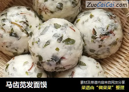 马齿苋发面馍