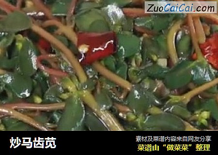 炒马齿苋
