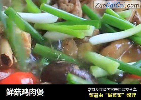 鲜菇鸡肉煲