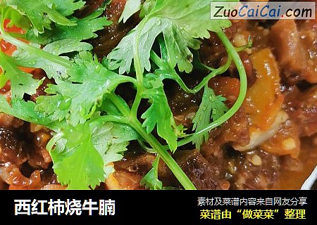 西红柿烧牛腩