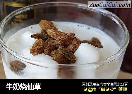 牛奶烧仙草