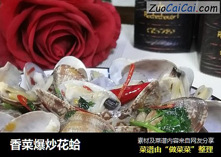 香菜爆炒花蛤