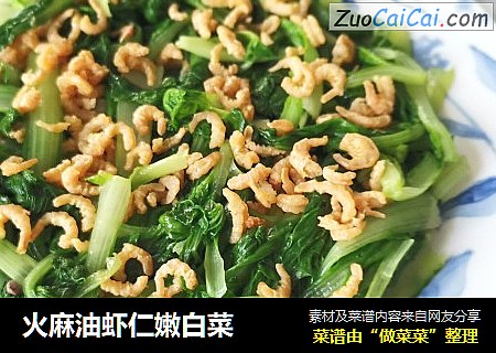 火麻油虾仁嫩白菜