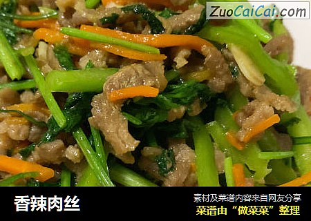 香辣肉丝