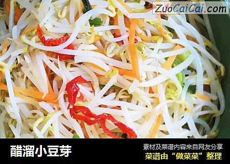醋溜小豆芽