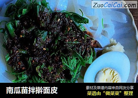 南瓜苗拌擀面皮