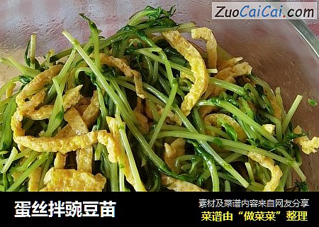 蛋丝拌豌豆苗