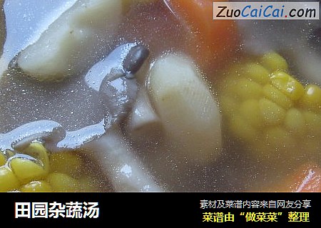 田园杂蔬汤