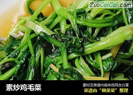 素炒鸡毛菜