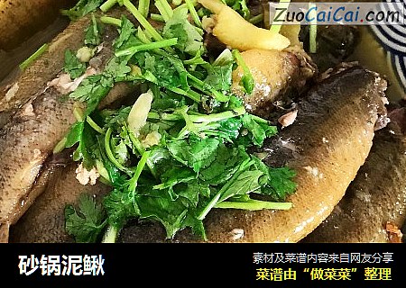 砂锅泥鳅
