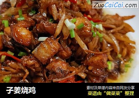 子姜烧鸡