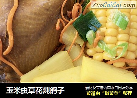 玉米虫草花炖鸽子