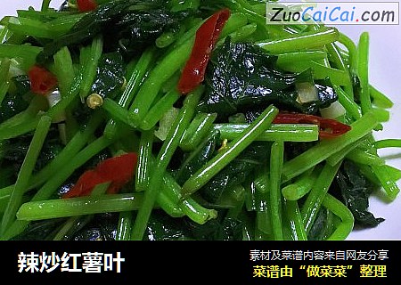 辣炒红薯叶