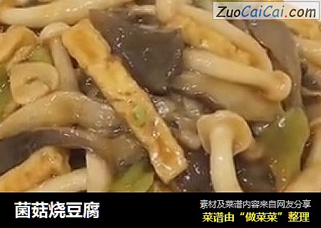 菌菇烧豆腐