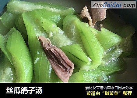 丝瓜鸽子汤