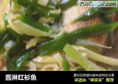酱淋红衫鱼
