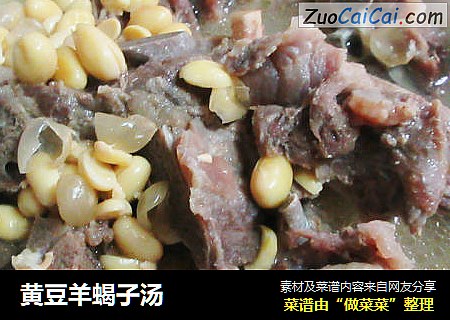 黄豆羊蝎子汤