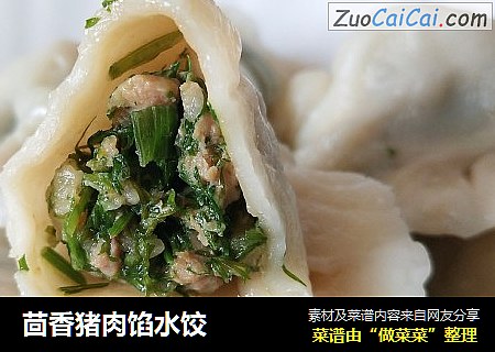 茴香猪肉馅水饺