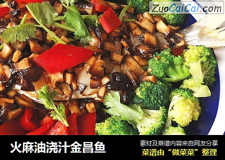 火麻油浇汁金昌鱼