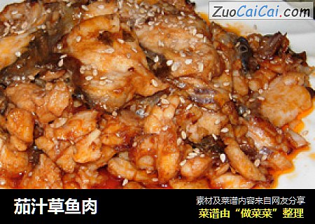 茄汁草鱼肉