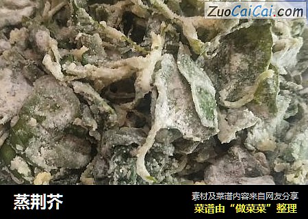 蒸荆芥