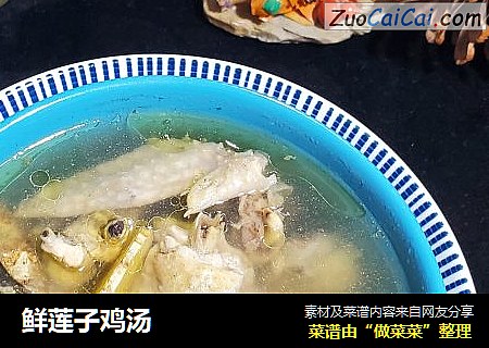 鲜莲子鸡汤