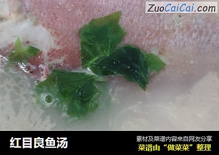 红目良鱼汤