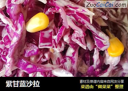 紫甘蓝沙拉