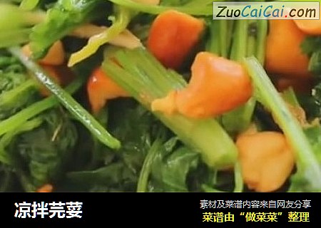 凉拌芫荽