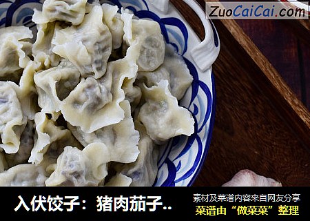 入伏饺子：猪肉茄子馅饺子