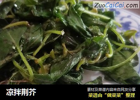 凉拌荆芥