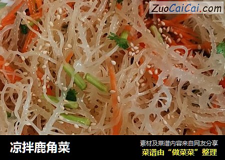 凉拌鹿角菜