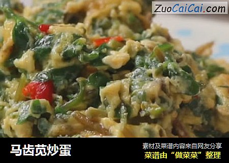 马齿苋炒蛋