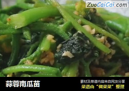 蒜蓉南瓜苗