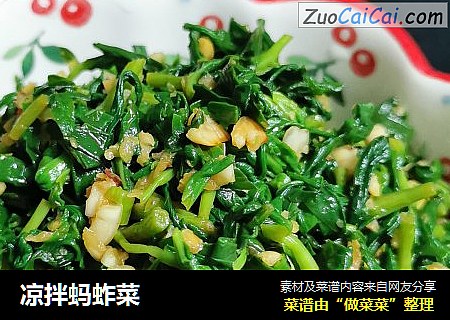 凉拌蚂蚱菜