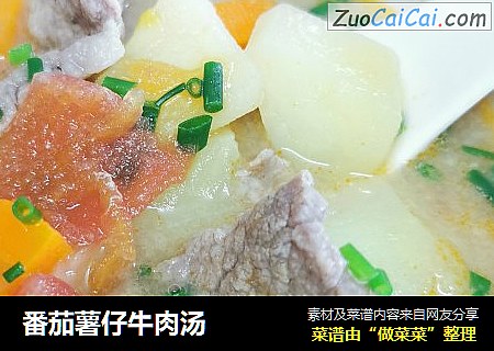 番茄薯仔牛肉汤