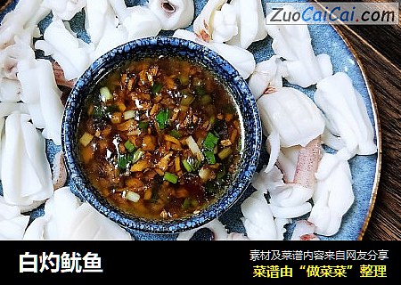 白灼鱿鱼