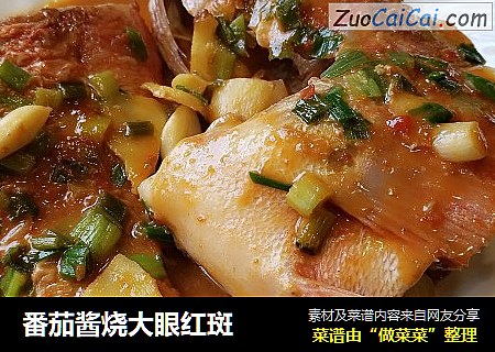 番茄酱烧大眼红斑