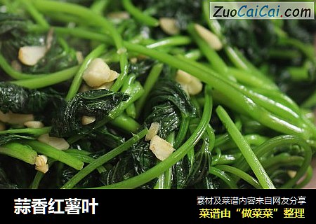 蒜香红薯叶